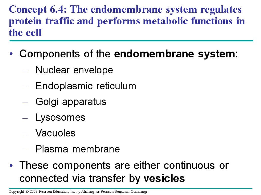 Concept 6.4: The endomembrane system regulates protein traffic and performs metabolic functions in the